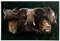 REINDERS Poster, The big five, Wohnzimmer, Poster, Wanddeko, Room Decor, 150 gr. glänzend Bilderdruckpapier, Braun, 61x91,5cm