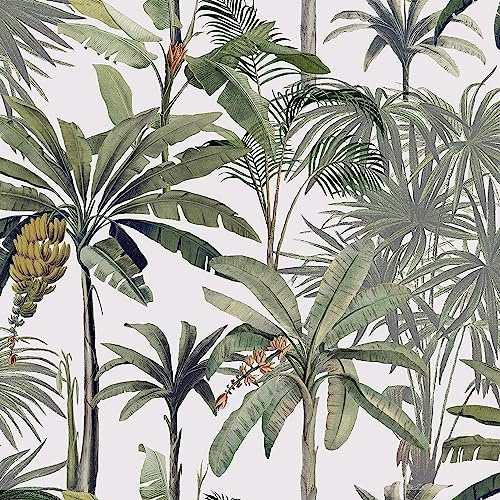 URBNLIVING Home Decoration DIY Vinyl Textured Designed Black Gold Champagne Feature Wall Decorative Wallpaper Rolls (Banana Palm Trees Vinyl Textured Wallpaper 180GSM)