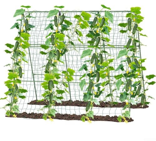 Rankgitter mit Rahmen für Hochbeet, Gartenarbeit, umfassendes Set für einfache Montage