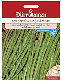 Dürr-Samen - Spaghetti-Stangenbohnen Saatgut