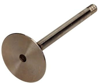 IPSA VL139500 Inlet Valve