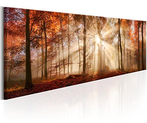 B&D XXL - Leinwandbild Natur Panorama Baum, 120x40 cm, 1-teilig, Wohnzimmer | Hochwertige Leinwand, sofort aufhängbar, ideal fürs Wohn- oder Schlafzimmer, wasserfest und lichtecht, langlebig, stilvoll