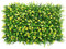 Ejoyous Künstliche Pflanzenwand Buchsbaumplatten Wand-Sichtschutz Künstlicher Hecken-Grünzaun mit Blumen Pflanzenmatten für Garten, Hofdekoration 40 x 60 cm (Gelbe Gürtelblume Eukaly)