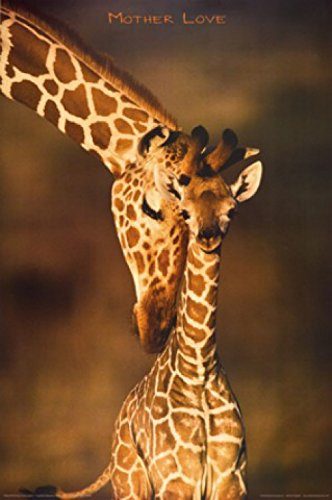 1art1 Giraffen Poster Mutterliebe Plakat | Bild 91x61 cm