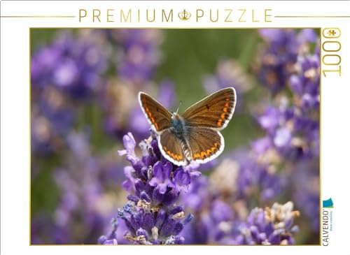CALVENDO Puzzle Sonnenröschenbläuling auf Lavendel | 1000 Teile Lege-Größe 64 x 48 cm Foto-Puzzle für glückliche Stunden
