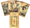 Die Neo Rider Tarot-Karten,The Neo Rider Tarot Cards,Tarot Deck,Party Game