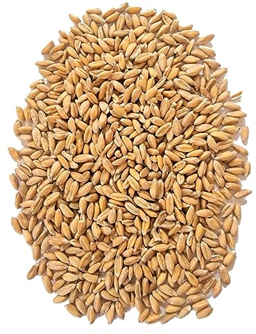 WIDU Bio Dinkel geeignet zum Backen Getreide Ganzes Korn 12,5 KG Getreidesack
