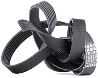 Contitech V-Ribbed Belt 7PK1785