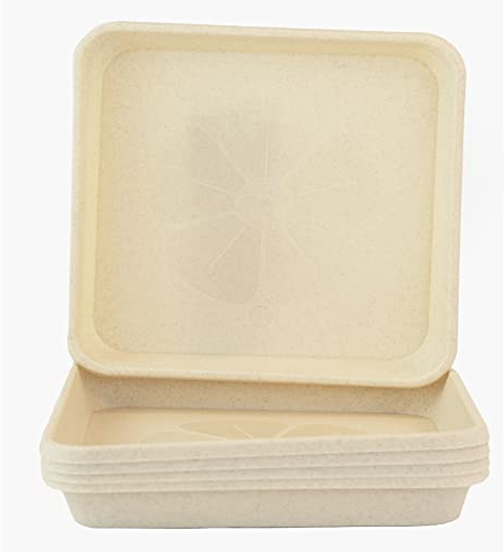 Home Garden Ornaments Plato Maceta Cuadrado 24x24cm Beige Juego de 5 – Duradero Platos Macetas Plastico - Platos para Macetas para Exteriores e Interiores (24x24cm, Beige)