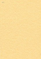 Decadry A4 95gsm Letterheads Parchment Paper - Gold (Pack of 100)