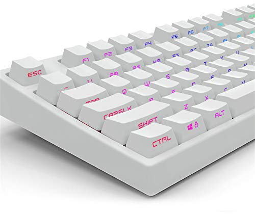 2Duck Black White Miami PBT Double Shot 104 108 Side-Lit Shine durch Translucent Backlit Keycaps für MX Mechanical Gaming-Tastatur (Color : 104 OEM White)