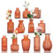 Lot de 12 petits vases en verre décoratifs avec couvercles - Pour décoration de table, mariage, réception, maison - Bouteilles vintage - Marron (12, marron)