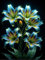 Lilium Knollen zwiebeln,blumenzwiebeln mehrjährig winterhart,lilien im topf,Ausgezeichnete Verzierung,Dekorative blumen,lilien zwiebeln winterhart mix.-4 zwiebeln-D