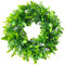 SOMYTING Künstliche Eukalyptus Kranz Eukalyptus Künstlich Haustür Türschild Türkranz 30cm Grün Türkranz Wandkranz Plastik Kranz Easter Deko für Outdoor Party Garten Wand