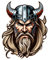 Samunshi Viking Warrior Aufkleber Autoaufkleber für Motorrad Fahrrad Roller oder Auto Sticker Fahrrad MTB Mountainbike Rennrad Viking Wikinger (8x10cm Viking Warrior)
