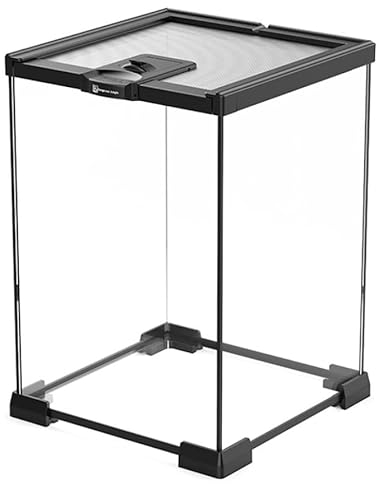 Terrariums pour Insectes,Verre Transparent,Boîte d'alimentation D'insectes,Contenants de Terrarium en Scorpion Grenouille,Habitat Reptile Animaux Compagnie Rampant