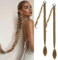 Fulang Hair 2PCS Braid Ponytail Extension Zopf mit Haargummi Haarteil zum Einflechten Lang Ponytail Kunsthaar für Frauen Geflochtener Haarteil (Blond Mit Blassgoldenen Strähnchen)
