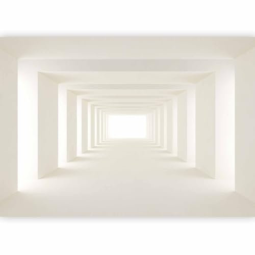 Papier peint murando intissé 400x280 cm Décoration Murale XXL Poster Tableaux Muraux Tapisserie Photo Trompe l'oeil tunel 3D a-A-0124-a-b