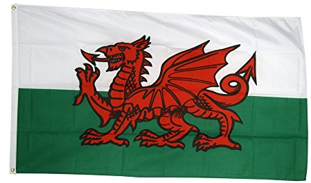 Flaggenfritze Fahne/Flagge Wales walisische Hissflagge + gratis Sticker