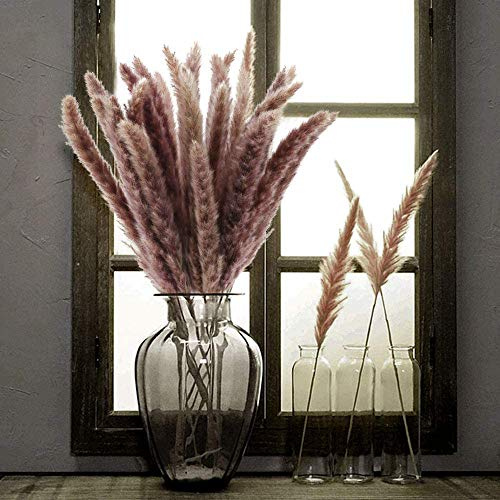 NaDeco Pampasgras Fluffy getrocknet 35/70g, Länge ±80cm in Natur oder Weiß wählbar Pampas Gras Dekozweige Trockenblumen Blumenstrauß aus Pampasgras Deko Zweige, Farbe:Natur 70 Gramm