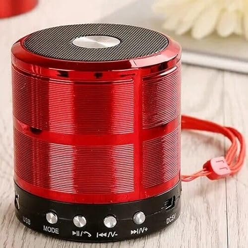 Portable Bluetooth Speaker, FM Radio, USB/SD Input, Mini Speaker