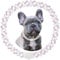 Pink Dog Chain Collars Bling Diamond Cuban Link Puppy Collar With Secure Buckle Walking Metal Chain Necklace Crystal Jewelry Cat Collars for Small Medium Large Pet Dogs Girls Female, 8 Inch