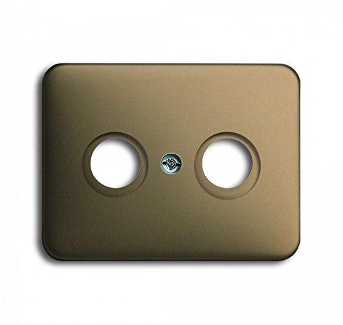 Busch-Jaeger 1743-21 Zentralscheibe