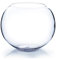WGV Clear Round Bubble Bowl Glass Vase