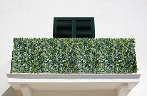 ABC Home Garden Garten Sichtschutzhecke Efeu, Sichtschutz, Blickschutz, Windschutz, Lorbeer