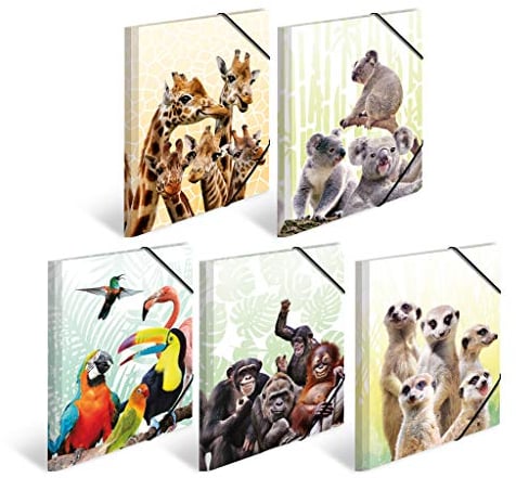 HERMA 19956 Lot de 10 chemises format A4 en plastique solide avec impression intérieure entière, reliure élastique et 10 dossiers à dessin pour enfants