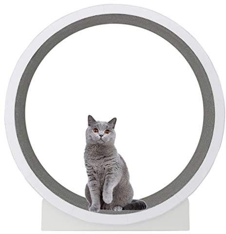 UIBAO Cat Wheel Katzenlaufrad Laufband,Klettergerüst Für Haustiere Interaktives Katzenspielzeug Anti-Quetsch-Katzenlaufrad für Wohnungskatzen (Size : 120cm/47.2)