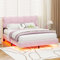 Polsterbett 160 x 200 cm, Jugendbett, Doppelbett mit LED-Leuchten mit Rückenlehne mit Lattenrost Samtstoff hohe Metallfüße Rosa (Matratze nicht im Lieferumfang enthalten) (.,Pink + 160 x 200 cm)