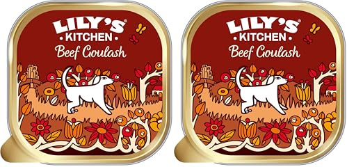 Lily's Kitchen Made with Natural Ingredients Beef Goulash Adult Wet Dog Food 10 x 150g (Pack of 2)
