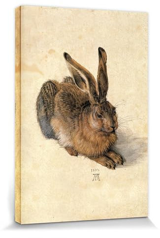 1art1 Albrecht Dürer Poster Junger Feldhase, 1502 Bilder Leinwand-Bild Auf Keilrahmen | XXL-Wandbild Poster Kunstdruck Als Leinwandbild 30x20 cm