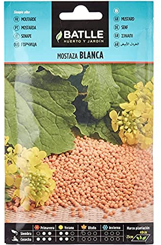 Battle - Semi Aromatici Senape Bianca (Semi - 40-55Cm)