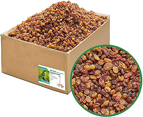 Paul´s Mühle Rosinen, ungeschwefelt in Speisequalität, Wildvogelfutter für Insekten- und Früchtefresser (5 kg)