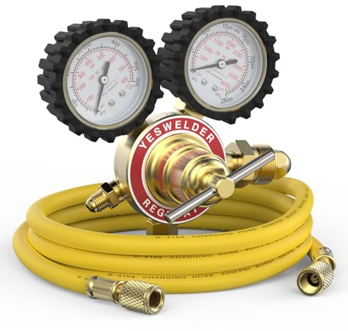 YESWELDER Stickstoffregler mit Schlauch, 0-800 PSI und 0-4000 PSI Ausgangsdruck, CGA580 Einlassanschluss und 6,35 mm Außengewinde