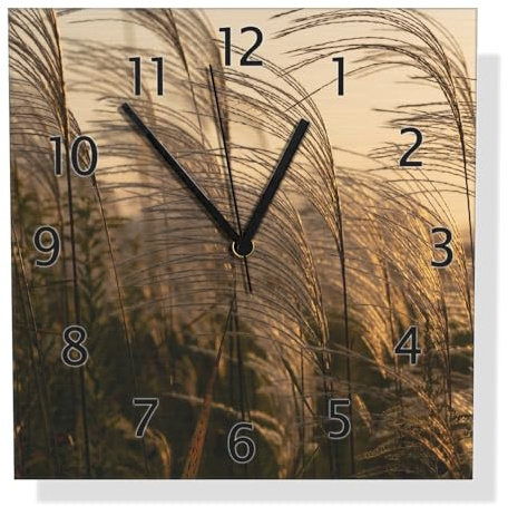 Wallario Design Wanduhr Schilf im Wind aus Aluverbund, Alu-Uhr Größe 30 x 30 cm, Schwarze Zeiger mit Metalloptik