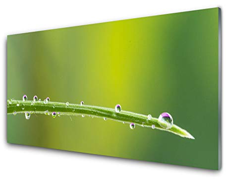 Tulup Glas Küchenrückwand – 100x50 cm Spritzschutz Glasrückwand Küchenwandpaneel Wandschutz Glasplatte Herdblende Nischenrückwand - Gras Tautropfen Pflanzen