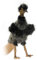 Hansa Animal Emeu Plüschpuppe 33 cm