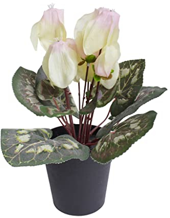 Botanic-Haus künstliches Alpenveilchen (Cyclamen) im schwarzen Kunststofftopf (Creme-pink)
