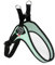 Tre Ponti Geschirr Easy Fit Classic with ADJ. Belly, Farbe:Minze/schwarz, Größe:2-35 - 49 cm/bis 5 kg