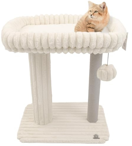 CanadianCat Company | Kratzbaum Charlotte Beige 80 cm - Katzenkratzbaum mit großer Liegefläche mit Rand, Papier-Kratzsäule & 2 Spielbällen - 68 x 48 x 80 cm