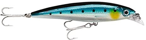 Rapala X-Rap Salzwasser Angelköder (Blue Sardine, Größe 4)