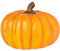 Catral Calabaza Americana PEQUEÑA