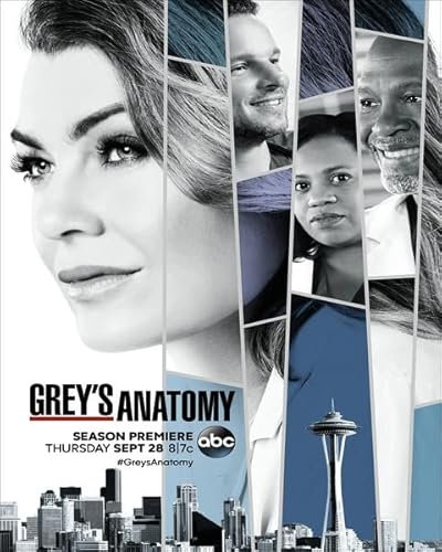 Grey's Anatomy Poster 30 x 40 cm