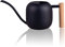 IMEEA Arrosoir 1 l avec poignée en bois - Arrosoir noir - Petites plantes en pot - Arrosoir en acier inoxydable avec long bec - Poignée en bois confortable pour plantes d'intérieur, plantes