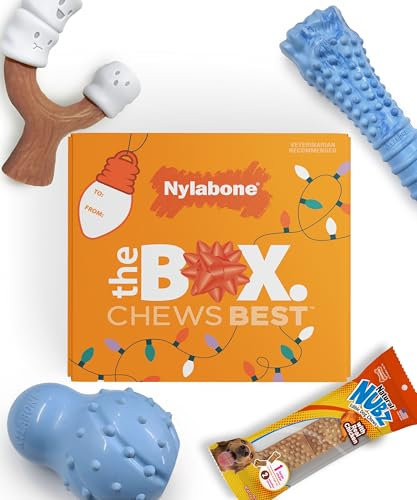 Nylabone Holiday Dog Geschenkbox für große Hunde, inklusive 3 starken Kauspielzeugen und 1 Hundeleckerlis, Geschenke für Hunde, groß/riesig (4 Stück)
