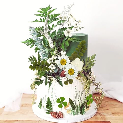 JeVenis Wildflower Cake Toppers Daisy Decor Baby In Bloom Baby Shower Cake Toppers for Women Birthday Bridal Shower Wedding Party Decoration