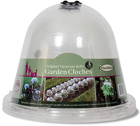 TIERRA GARDEN Haxnicks Bell050101 Lot de 3 Cloches de Jardin Transparentes Original 34 x 26 cm Transparent